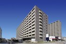 名古屋臨海高速鉄道<あおなみ線>/荒子駅 徒歩20分 2階 築22年の外観