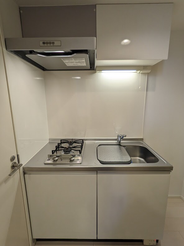 参考写真 ダフォディル