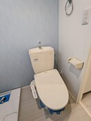 参考写真 ダフォディル