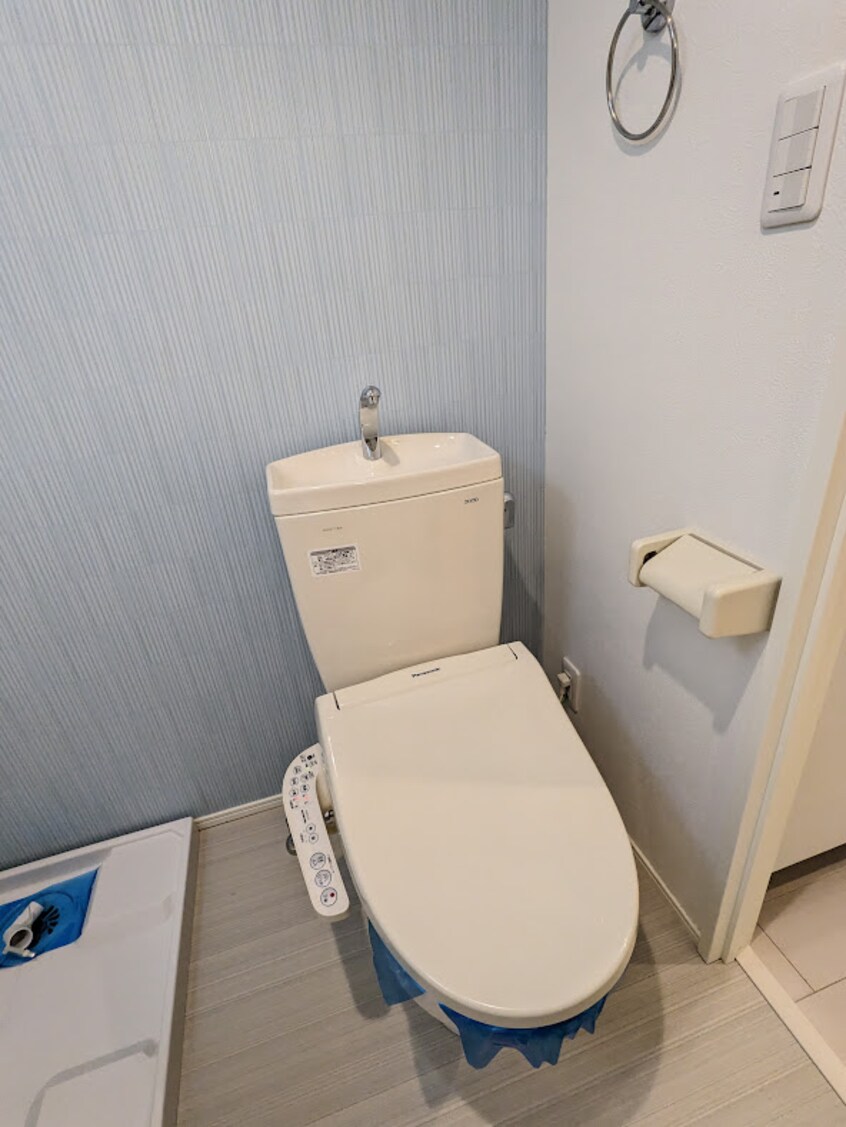 参考写真 ダフォディル