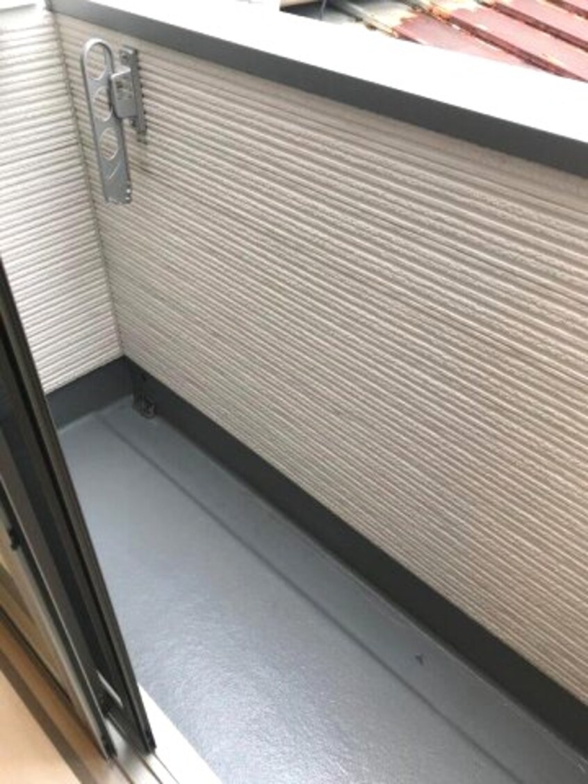 参考写真 ダフォディル