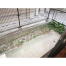  名古屋市営地下鉄桜通線/吹上駅 徒歩8分 2階 築38年