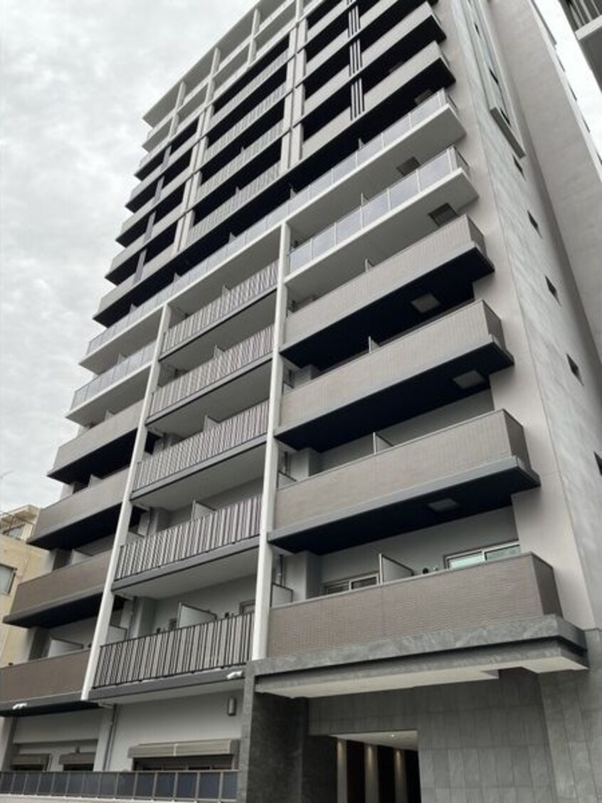  ウィステリアフロリバンダ