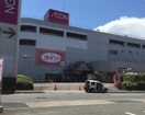 イオン 南陽店(スーパー)まで527m セントラルハイツ