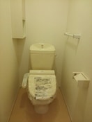 落ち着いたトイレです モデッサ東山