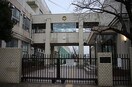 名古屋市立笠東小学校(小学校)まで205m ストーク芝