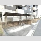  スプリングウッド