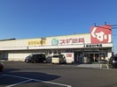 スギ薬局上池店まで270m フラット半田