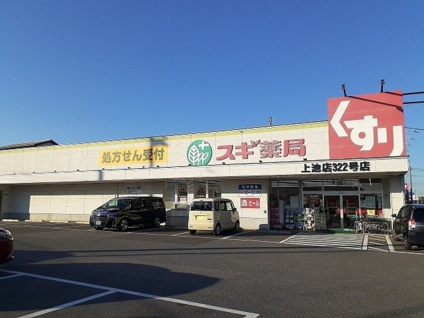 スギ薬局上池店まで270m フラット半田
