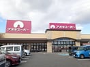アオキスーパー乙川店まで1280m フラット半田