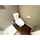  スターライト緑星