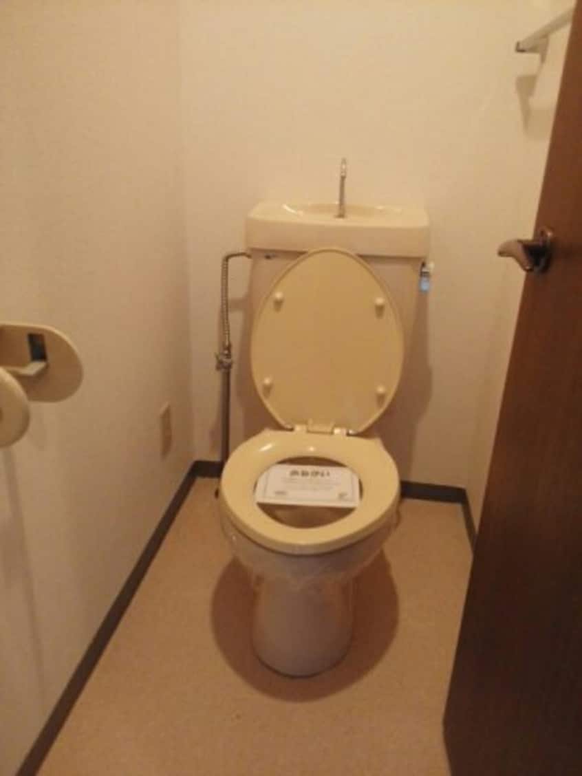 落ち着いたトイレです ウェルスハイツ