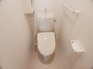 落ち着いた色調のトイレです レガーロ　ノースⅠ