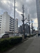  プロシード大須