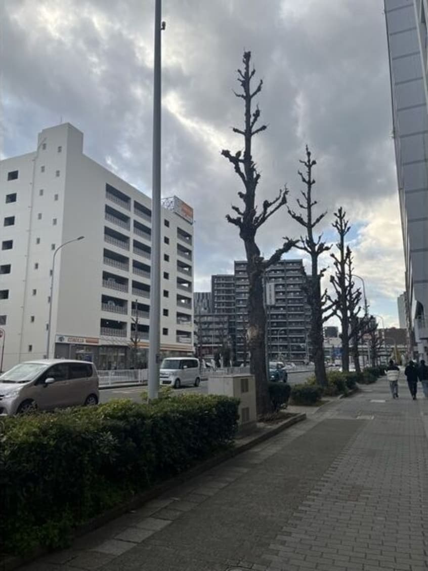  プロシード大須