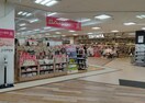 ザ・ダイソー DAISO ルビットタウン戸田店まで1273m カトルセゾン