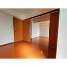  サニースポット