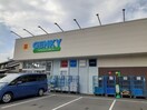 ゲンキー石浜店まで260m ル・レクチェ