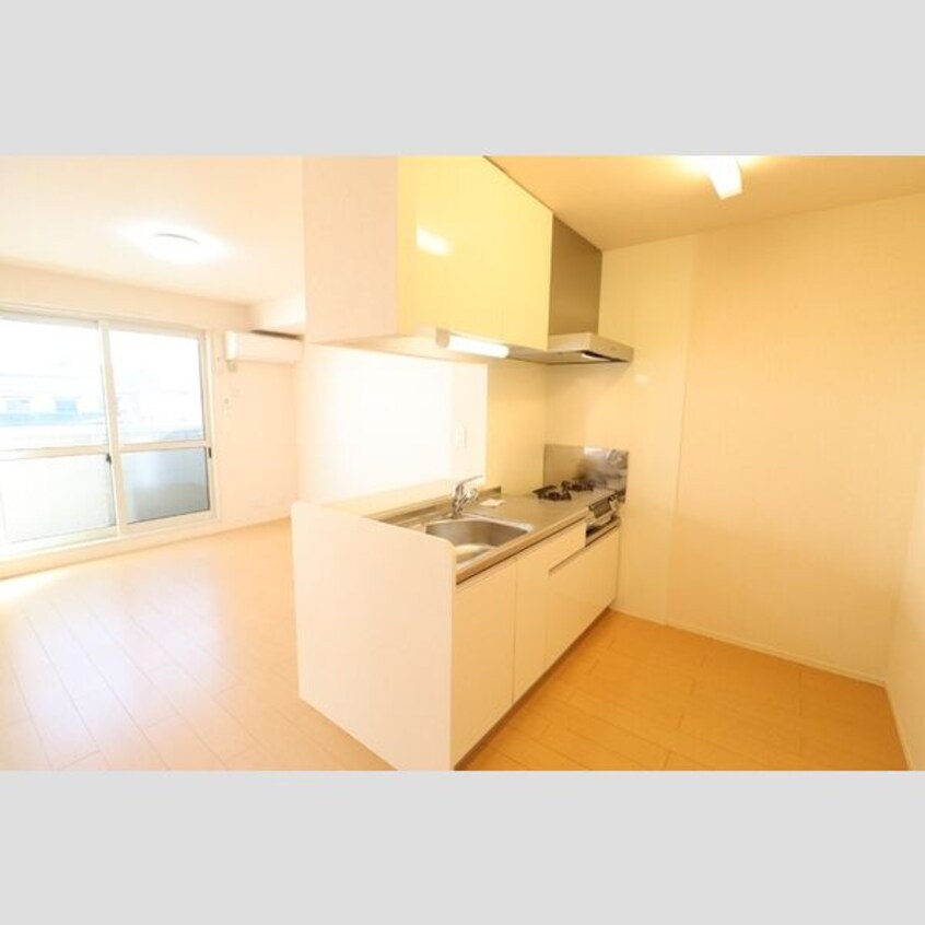  ラフィーネ野立