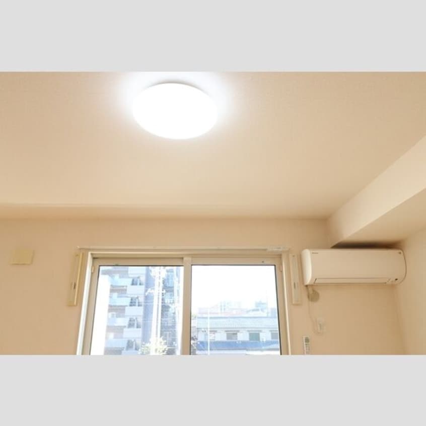  ラフィーネ野立