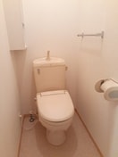  ＣｏｔｔｏｎＨｉｌｌｓ　Ⅱ