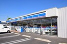 ローソン南区芝町店まで300m アレグリア　ドス