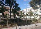 名古屋市立諏訪小学校(小学校)まで361m ノーブルエイト