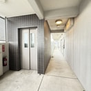  マイアトリア栄