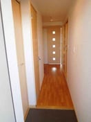 きれいな玄関です 名鉄名古屋本線/一ツ木駅 徒歩9分 1階 築16年