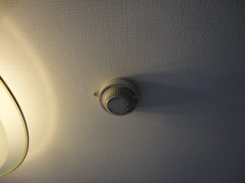 その他 コーポルミナス