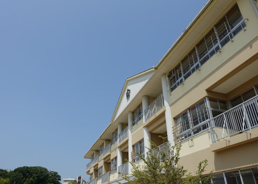 知多市立八幡小学校(小学校)まで750m フラワーⅡ