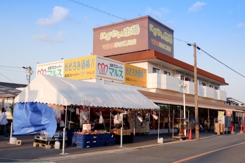マルス 半田乙川店(スーパー)まで804m グランドール
