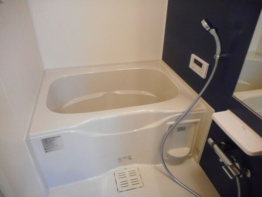  Ｌｉｓ　ｂｌａｎｃ（リ・ブラン