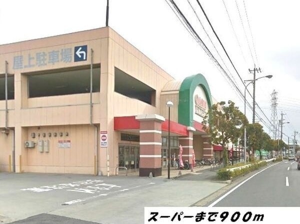  ペルペチュエル　M