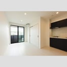  Jack shibatahondoriⅠ