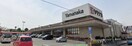 ヤマナカ 知多店(スーパー)まで306m にしの台ヒルズ
