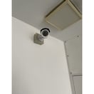  ポートタウンドルフィン