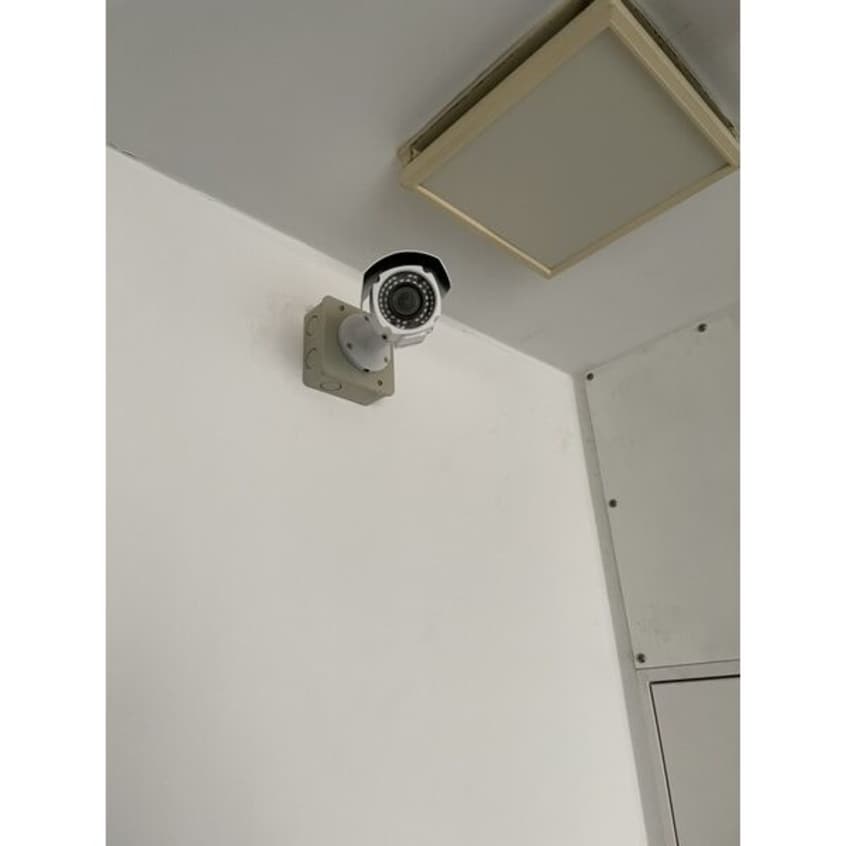  ポートタウンドルフィン