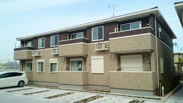  クノッシ　ボア　Ⅳ