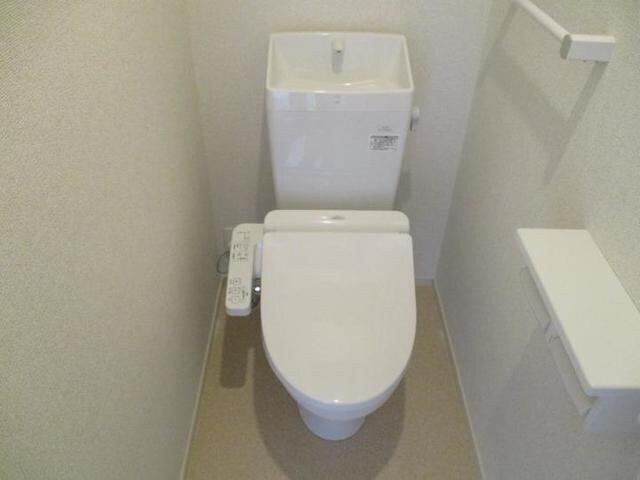  クノッシ　ボア　Ⅳ