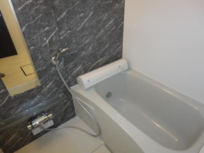  キャットテール