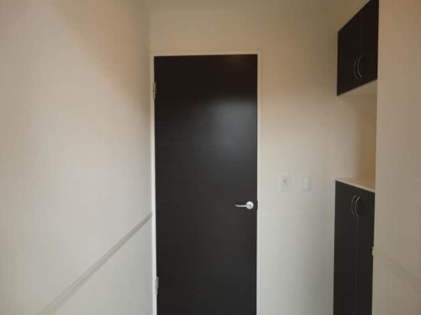  キャットテール