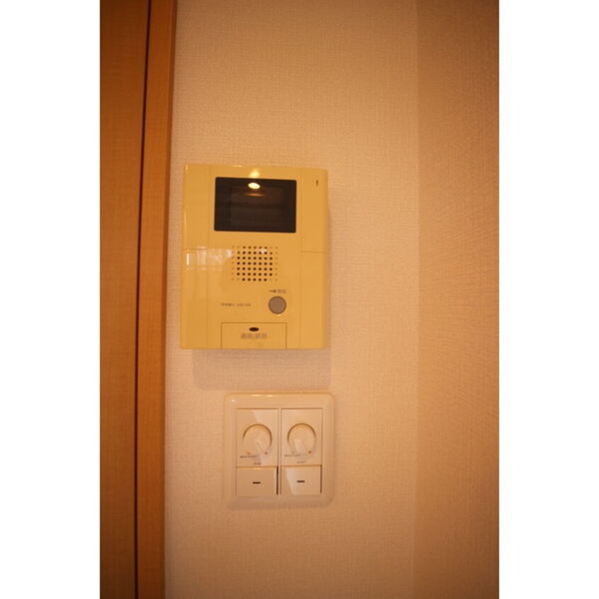  フェリシア千成