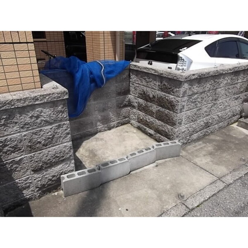  フェリシア千成