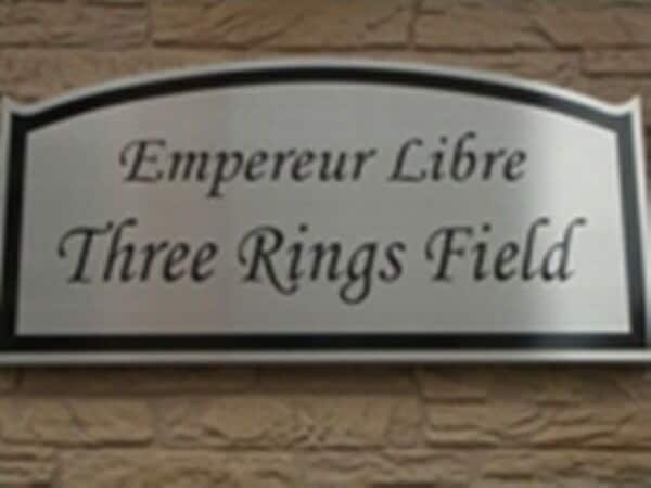  アンプルール　リーブルThree Rings Field