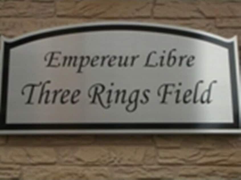  アンプルール　リーブルThree Rings Field