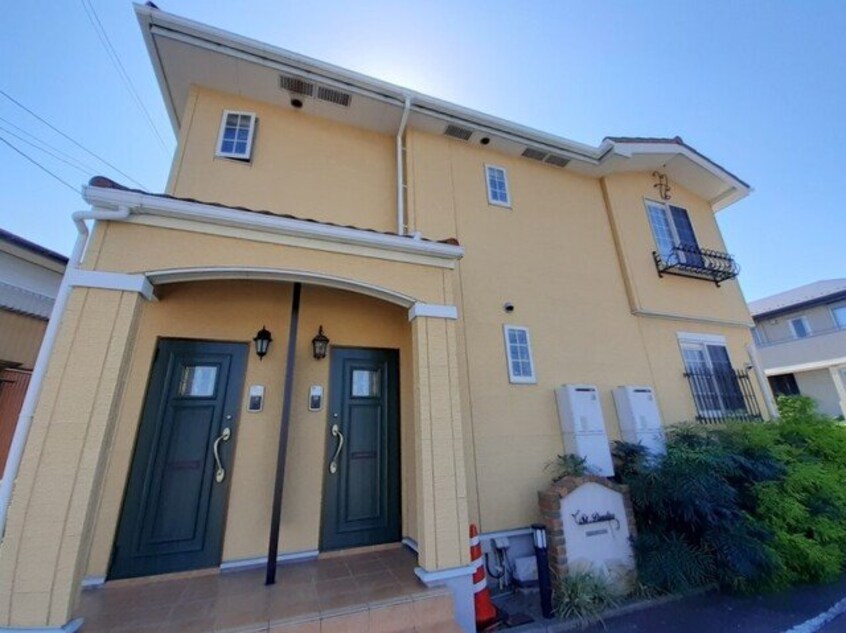  セントポーリア