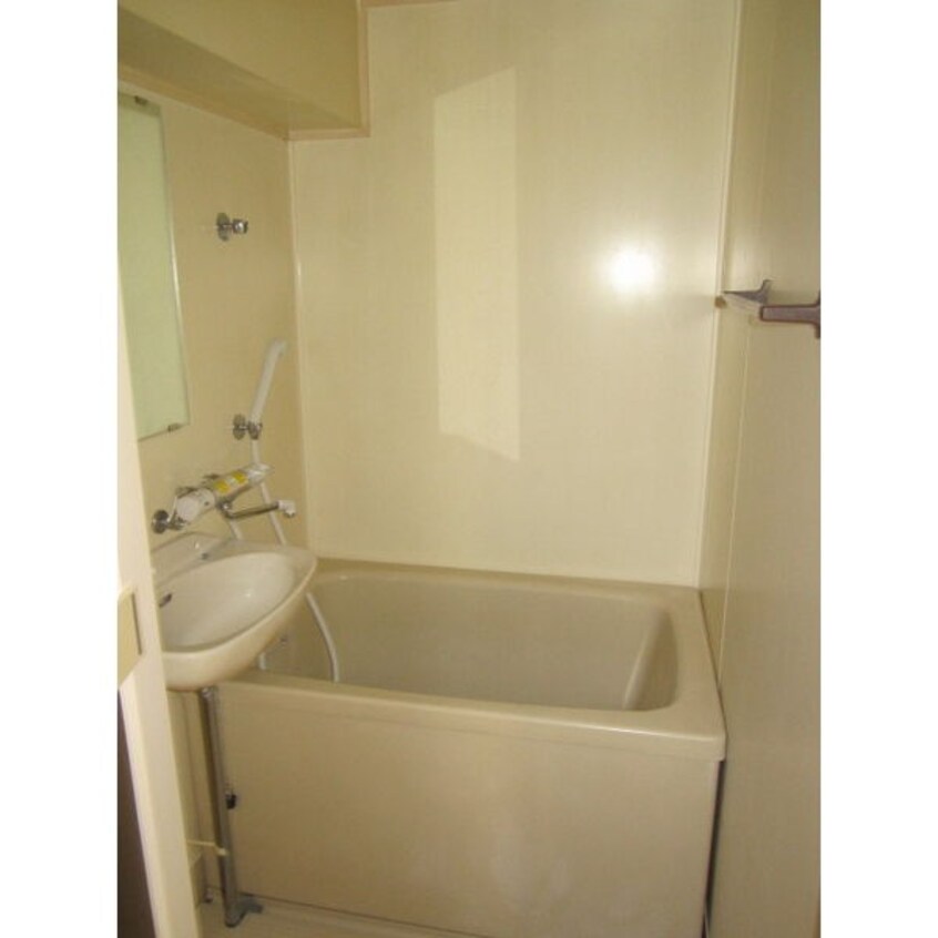  シャトルオオギ