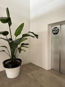  名古屋市営地下鉄鶴舞線/庄内通駅 徒歩13分 6階 築15年