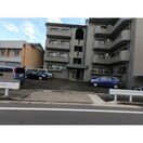  レジーナマルフク